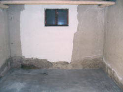 thump schadenbild feuchte wand 2